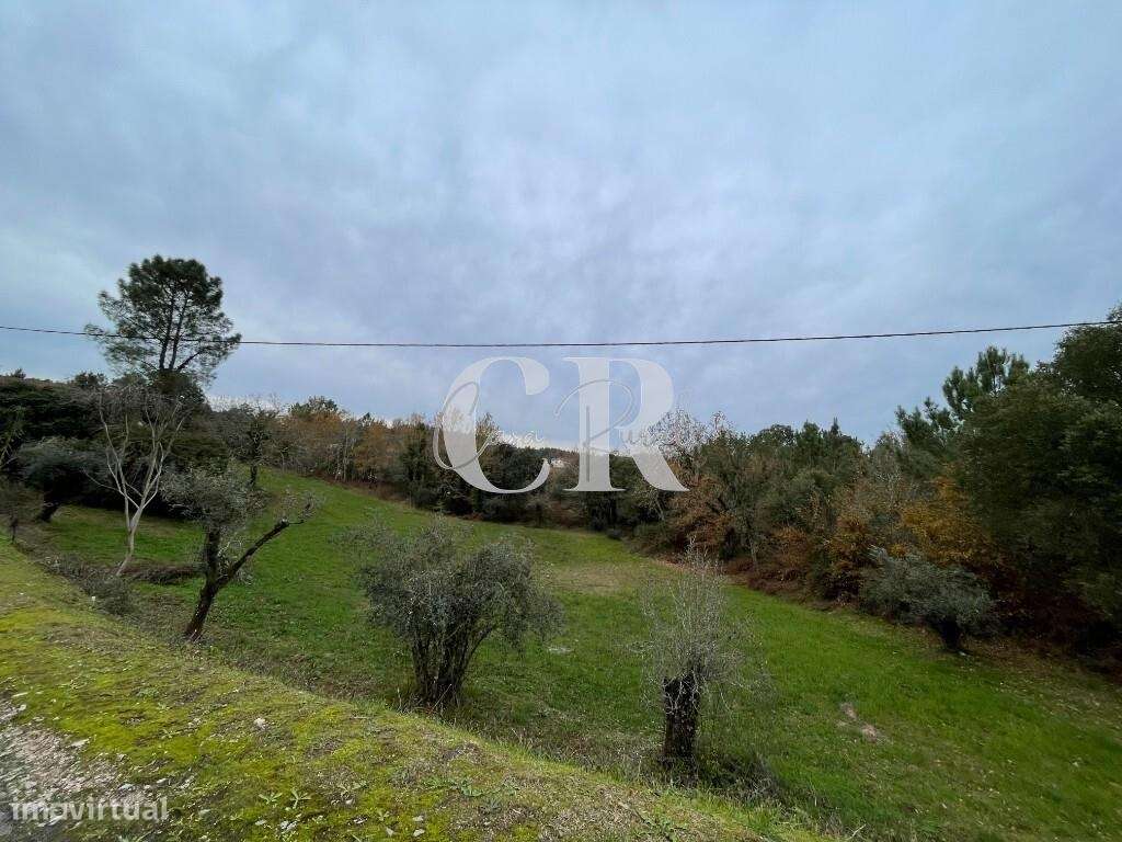 Terreno co  ruinas-10