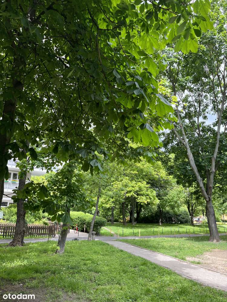 Na sprzedaż – 2-pokojowe mieszkanie z pięknym widokiem-11