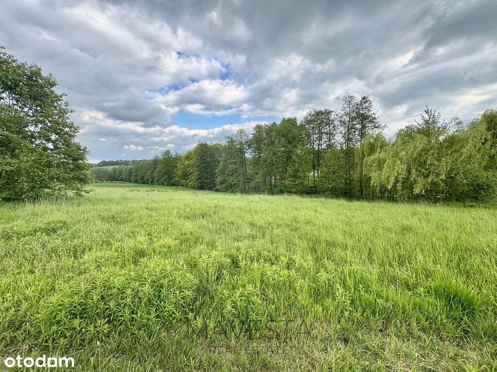 Działka rolna | 20 arów | Chorągwica-3