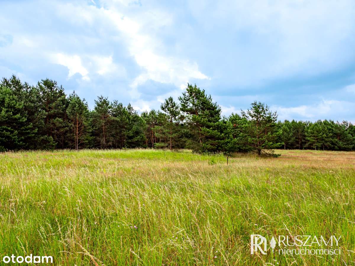 Bory Tucholskie - działki objęte Mpzp-12