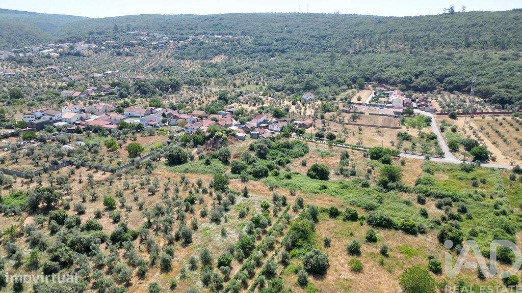 Quinta em Chão de Couce de 72,00 m2 - Grande imagem: 5/25