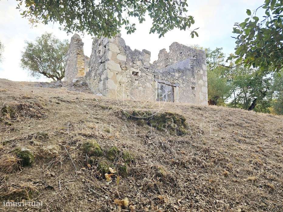 Terreno Misto  Venda em Torres Novas (São Pedro), Lapas e Ribeira Bran-18
