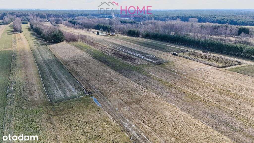 Działka na sprzedaż 2,43ha Mazury (gm. Raniżów)-9
