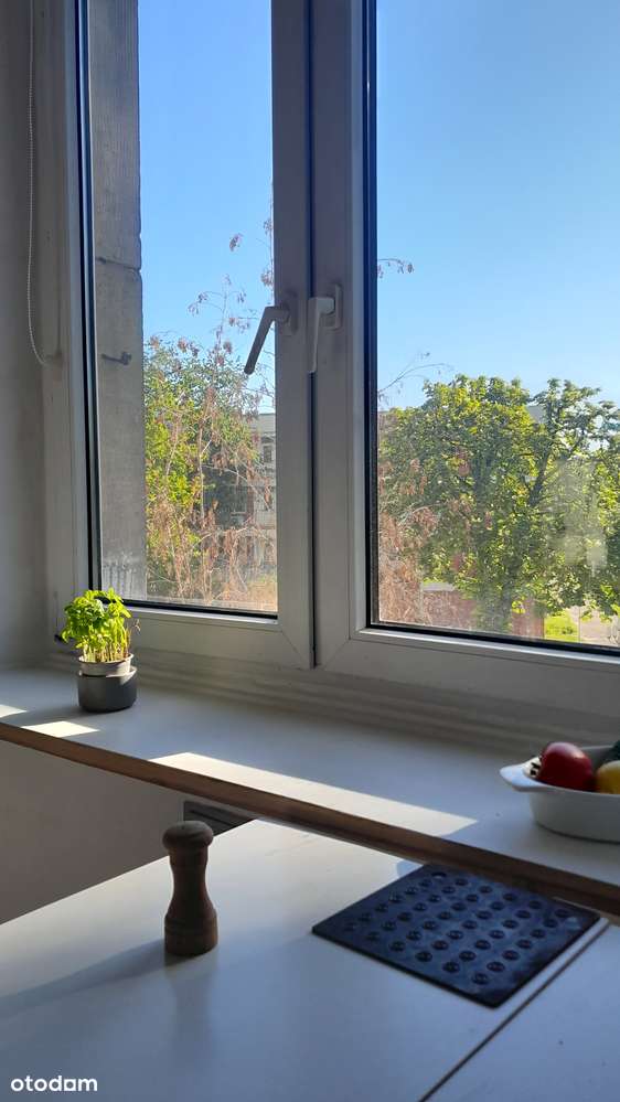 Dwupokojowe z widokiem na park Ambasady Chińskiej - Pełny obrazek: 4/14