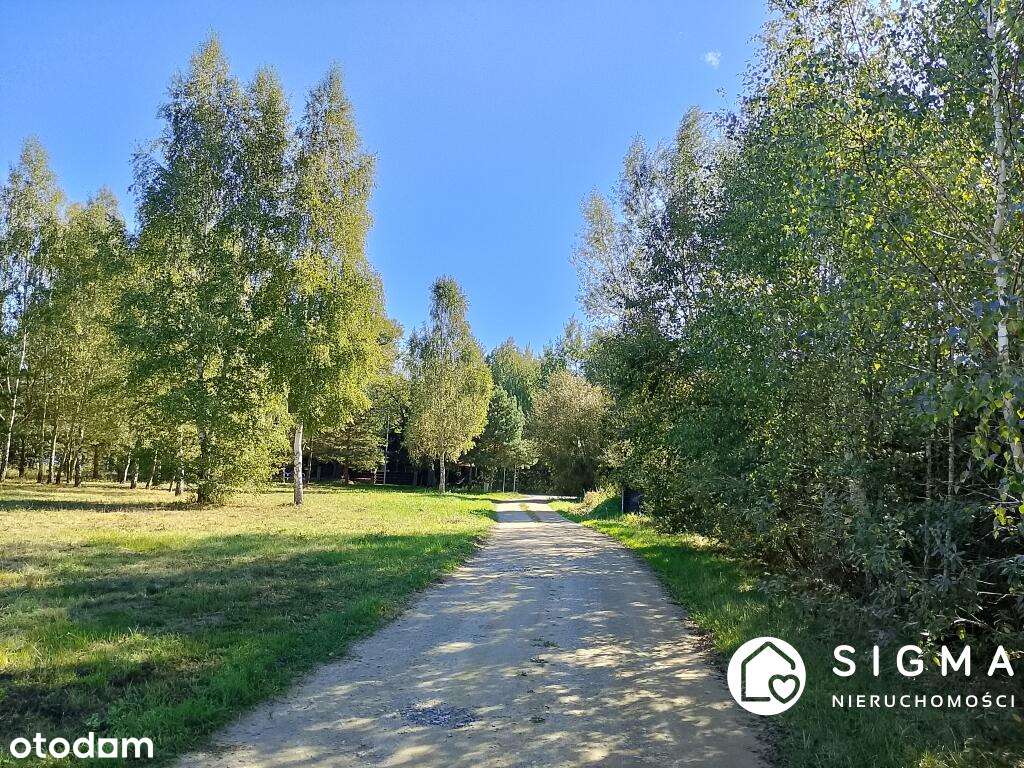Piękna działka MPZP media Radziejowice-3