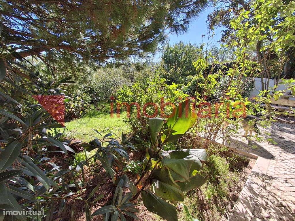 Moradia Rustica inserida numa Magnifica Paisagem Vinícola-21