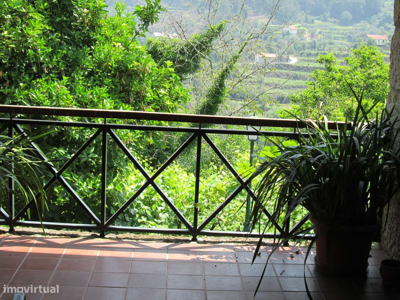 Quintinha no Minho Ponte de Lima * 10.000 m2 * a 90 Km do Porto-18