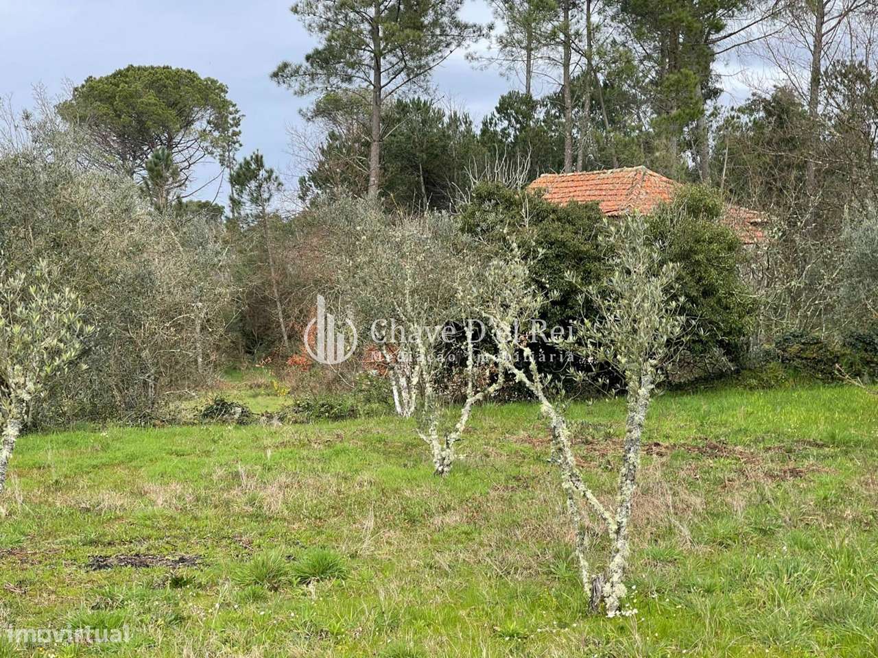 Terreno Misto  Venda em Espinho,Mangualde - Grande imagem: 4/15