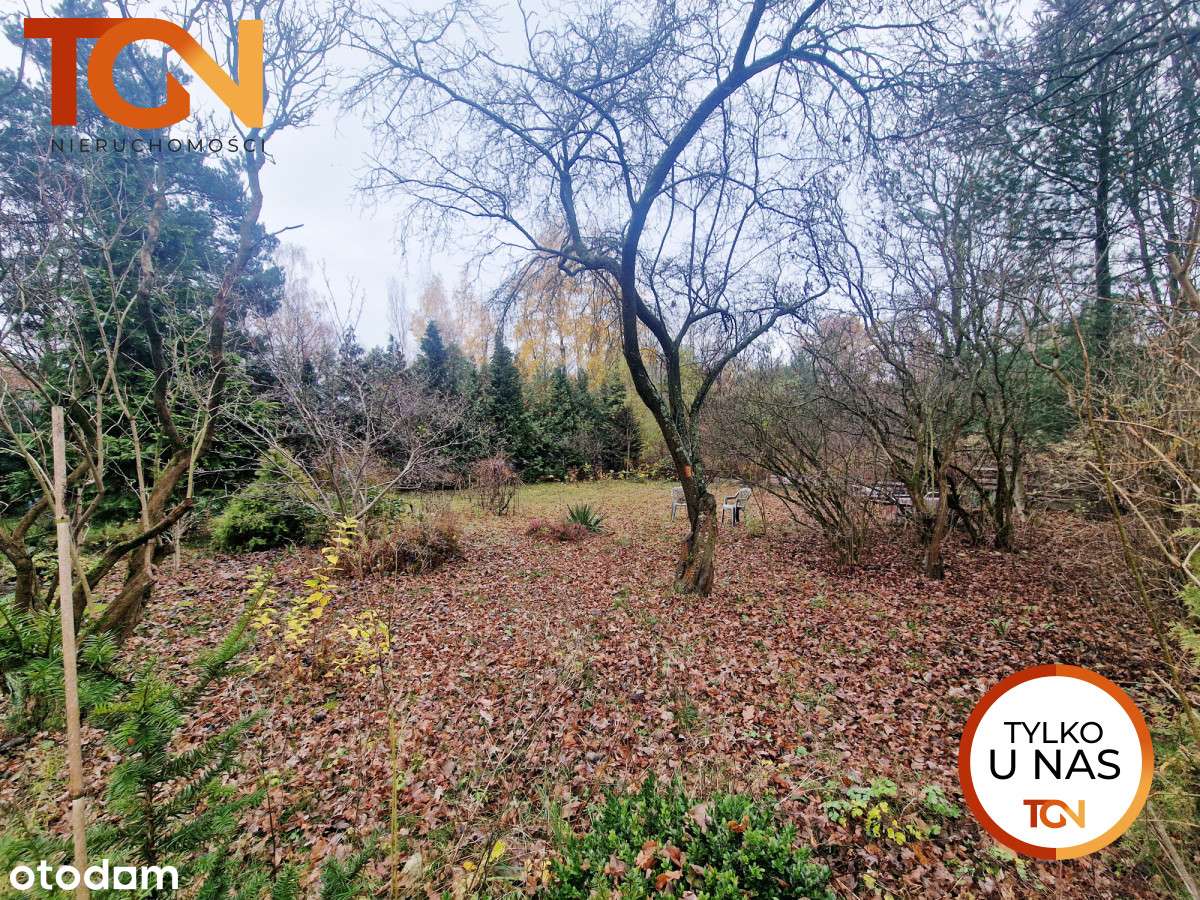 Działka inwestycyjna na Rogach - Pełny obrazek: 3/4