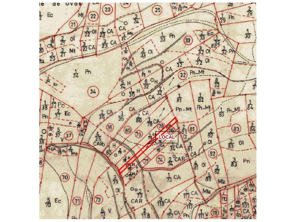 Terreno rústico com 600m2 - Agroal, Tomar - Grande imagem: 4/4