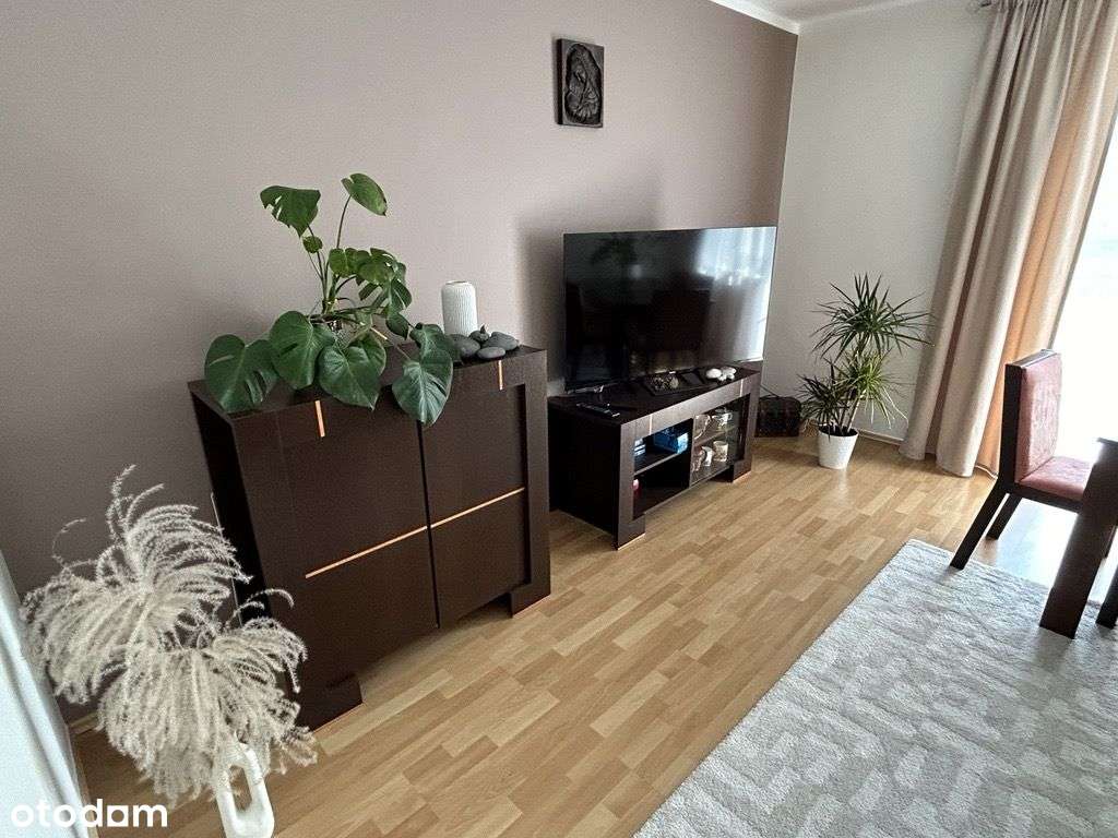 Słoneczne mieszkanie 2 pok., 50 m2, ul. Ramzesa - Pełny obrazek: 3/11