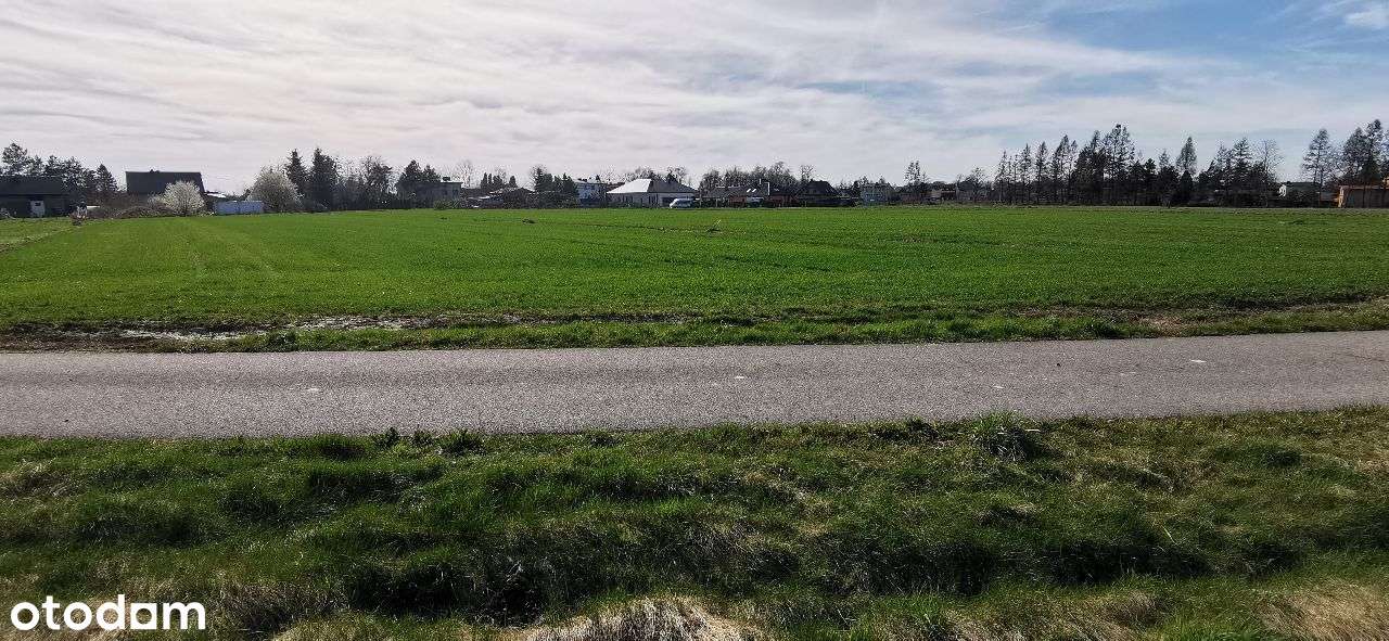 Sprzedam działkę 1933m2 Zaborze - Pełny obrazek: 3/8