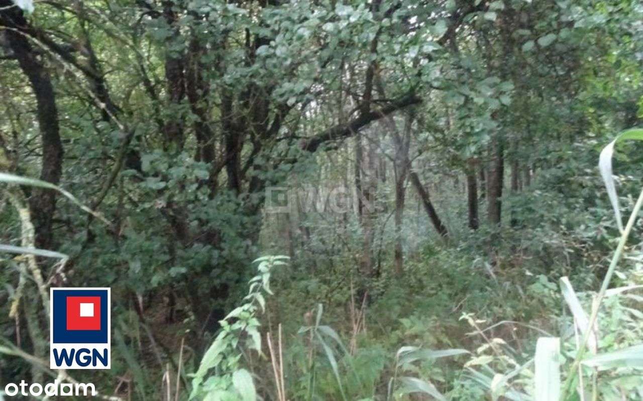 Nowa, Niższa Cena !! - Pełny obrazek: 4/20