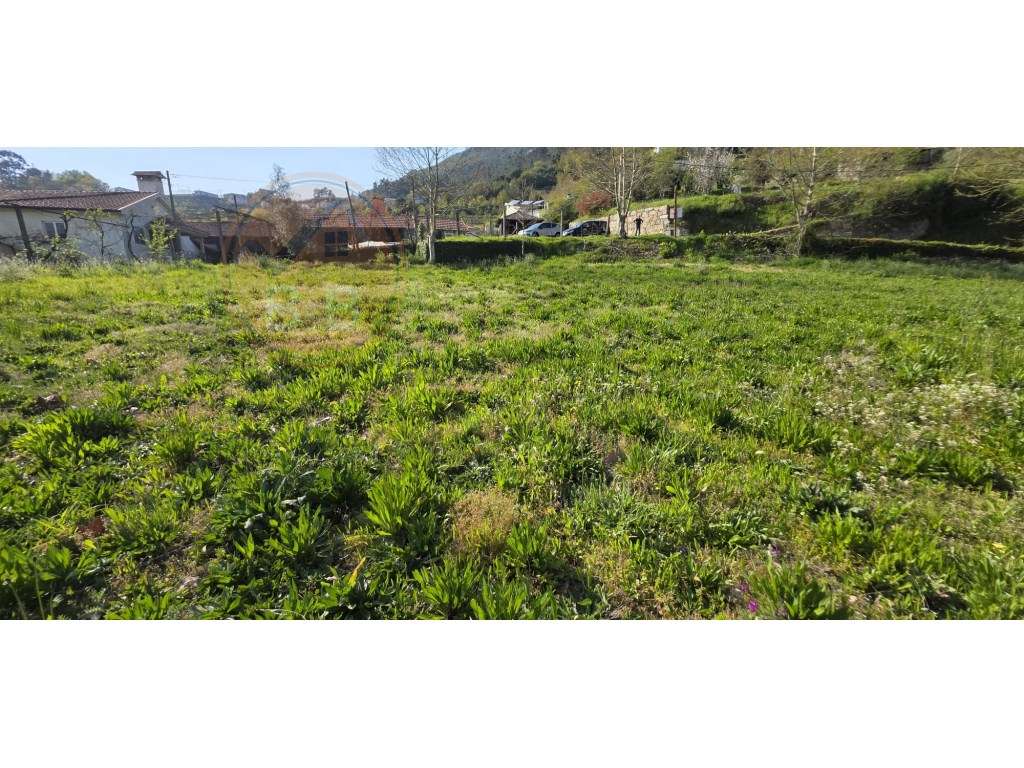 Terreno com projeto aprovado, em Petimão, Cabeceiras de Basto.-3