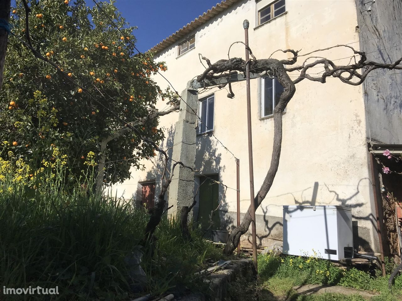 Quinta  Venda em Rio Torto e Lagarinhos,Gouveia