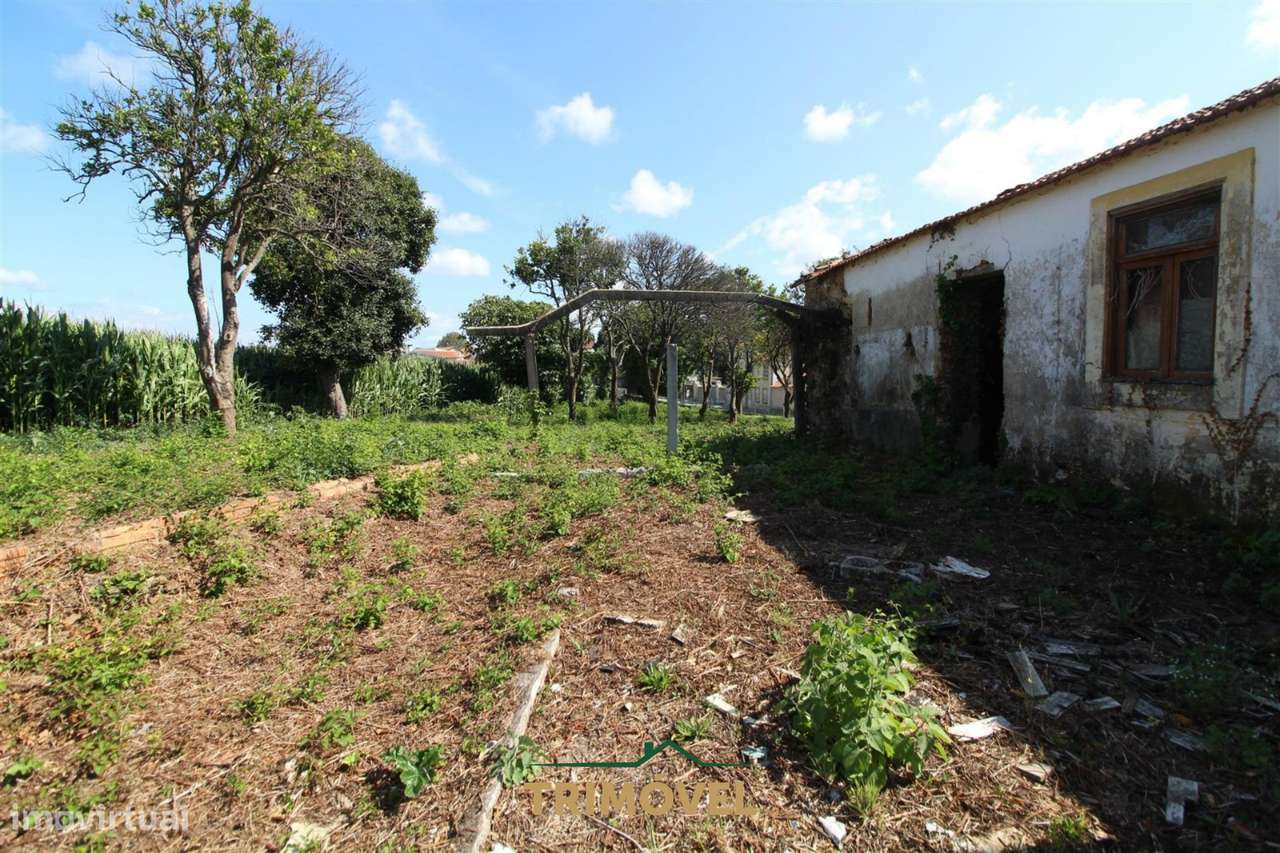 Moradia para remodelar em Válega, Ovar-13