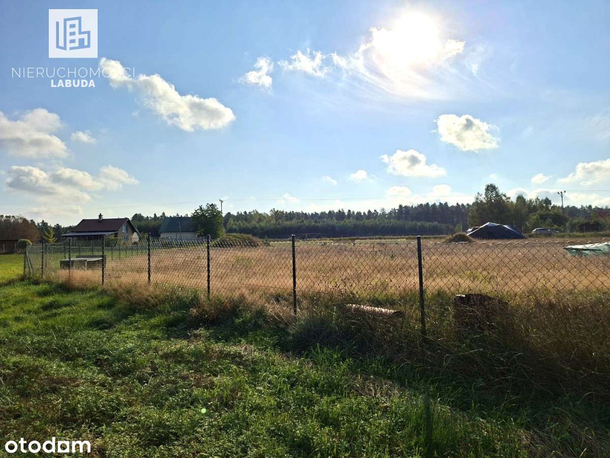 Fundamenty + projekt + drewniany dom – dz. 4 400m2 - Pełny obrazek: 4/15