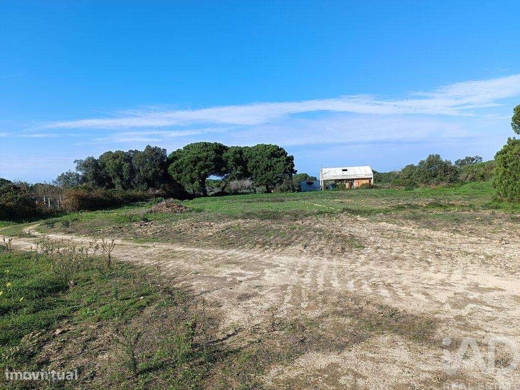 Terreno em Sesimbra (Castelo) de 15600,00 m2 - Grande imagem: 5/22