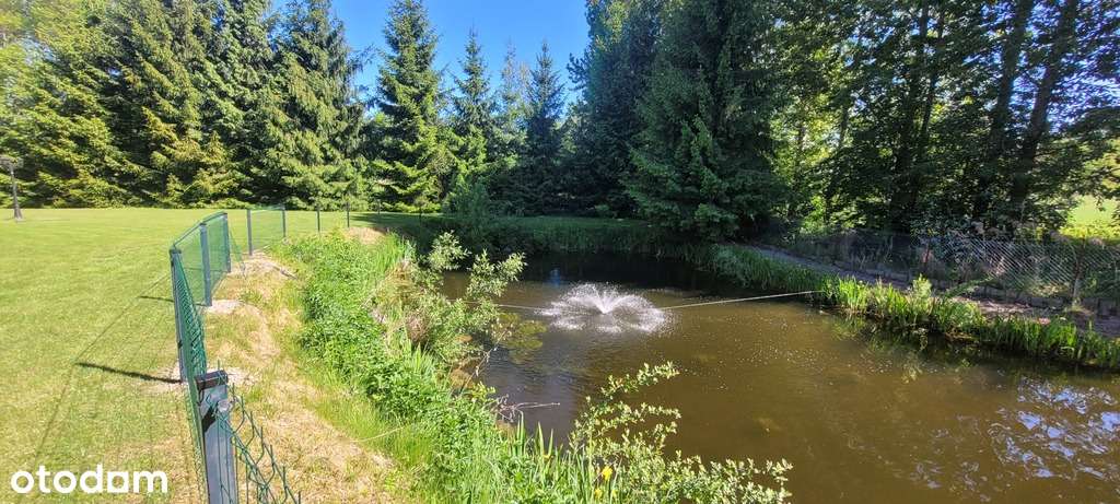 Siedlisko z uroczym domem, Sewerynów, gm. Cyców - Pełny obrazek: 3/20
