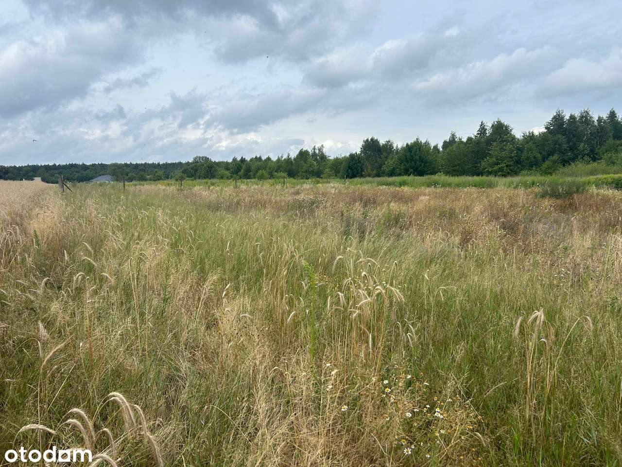 Działki budowlane z WZ, w zielonej części Poznania - Radojewo! - Pełny obrazek: 5/5