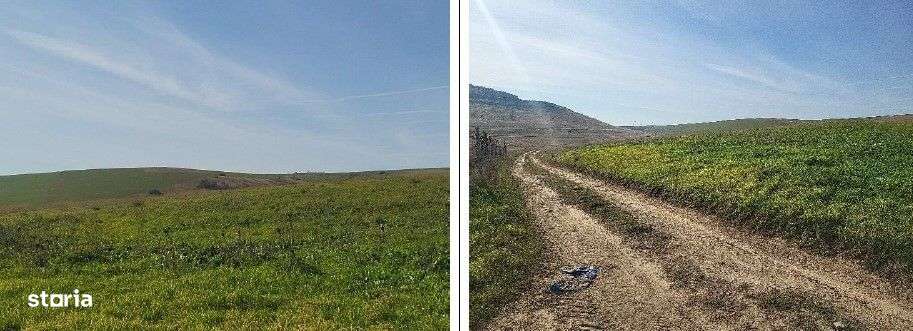 Teren extravilan sat Mineri, ID: R2376975 - Imagine principală: 1/5
