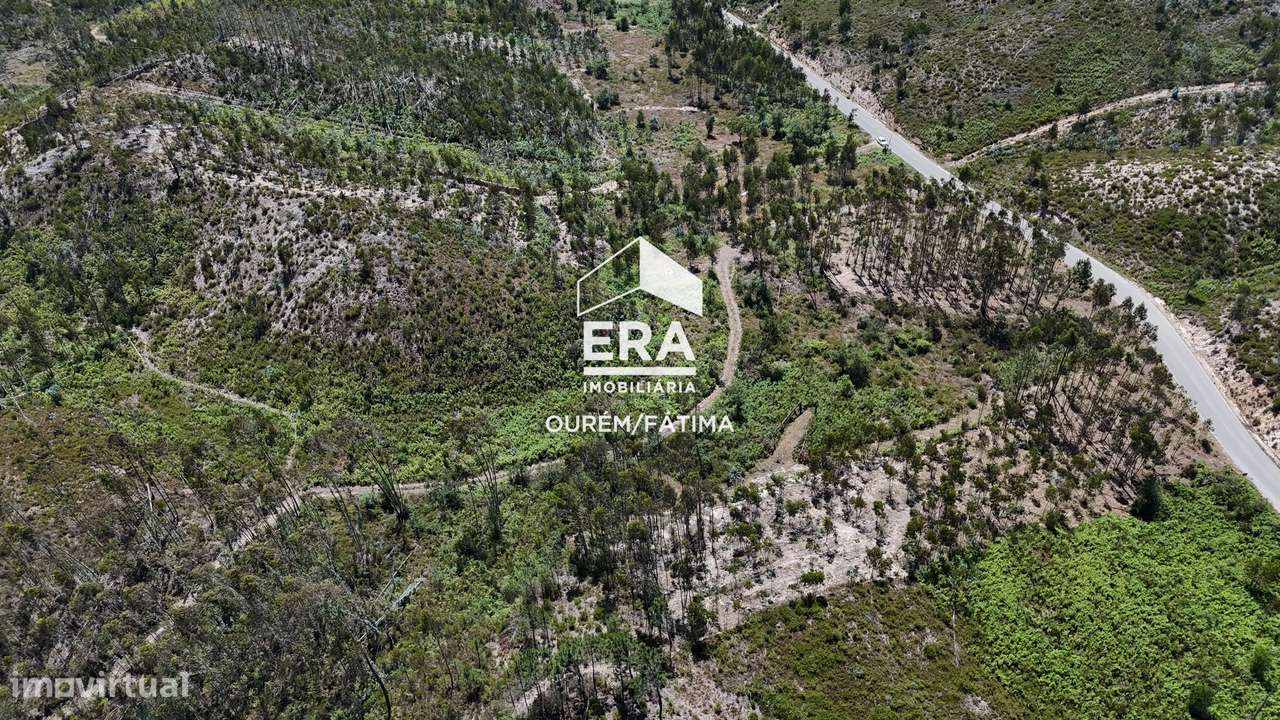 Terreno Florestal em Matas, Ourém-7
