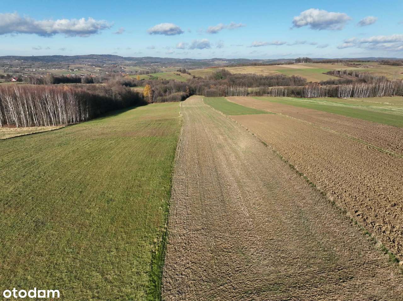 Ponad 1,5 ha działka w Ołpinach gm. Szerzyny-8