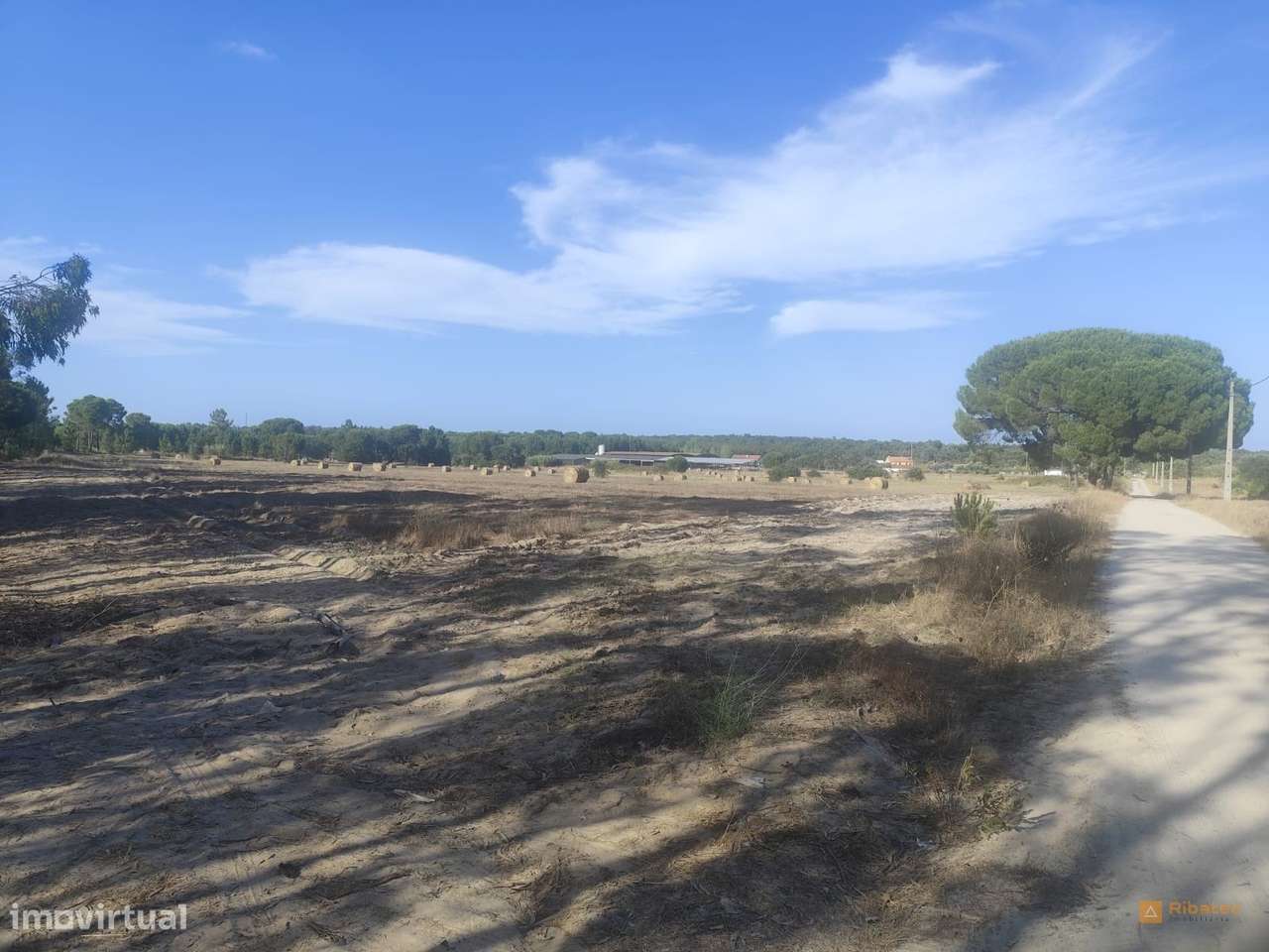 Terreno Para Construção  Venda em Branca,Coruche-5