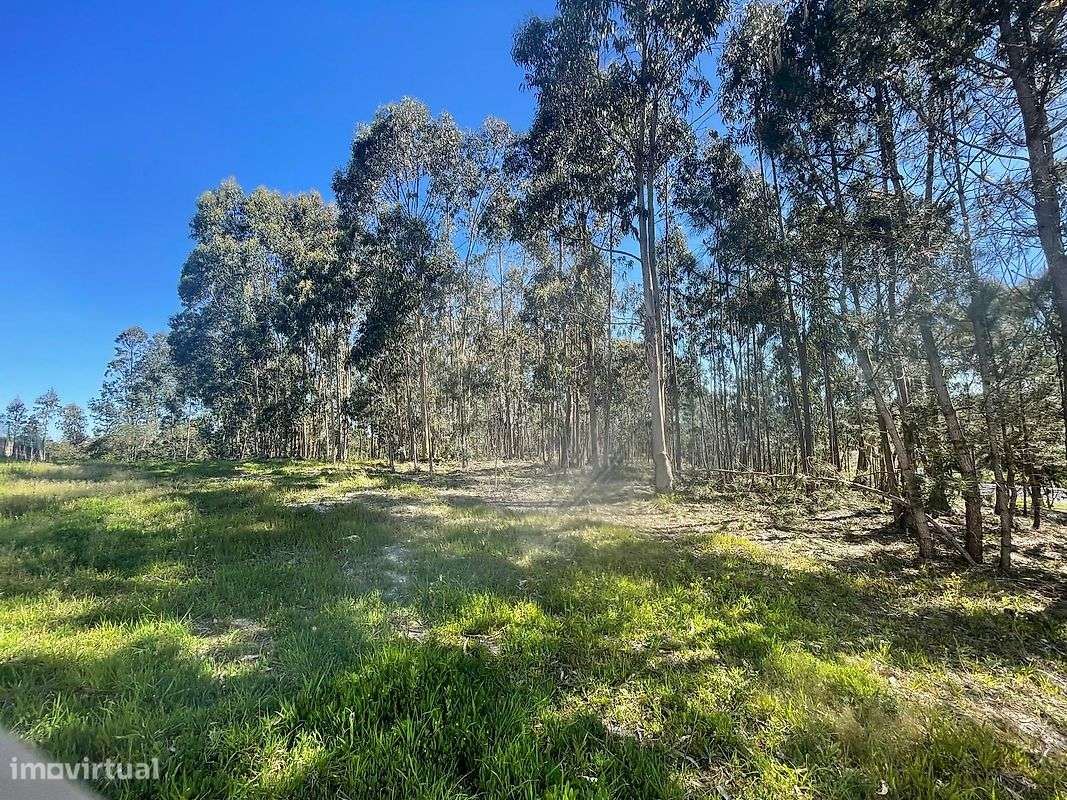 Terreno  para venda - Grande imagem: 5/8