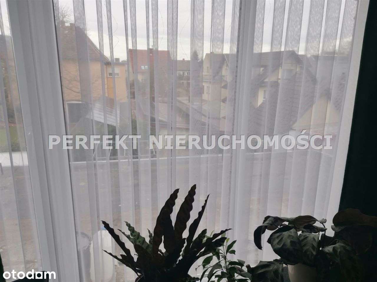 Dom klocek Wysoki Standard-15