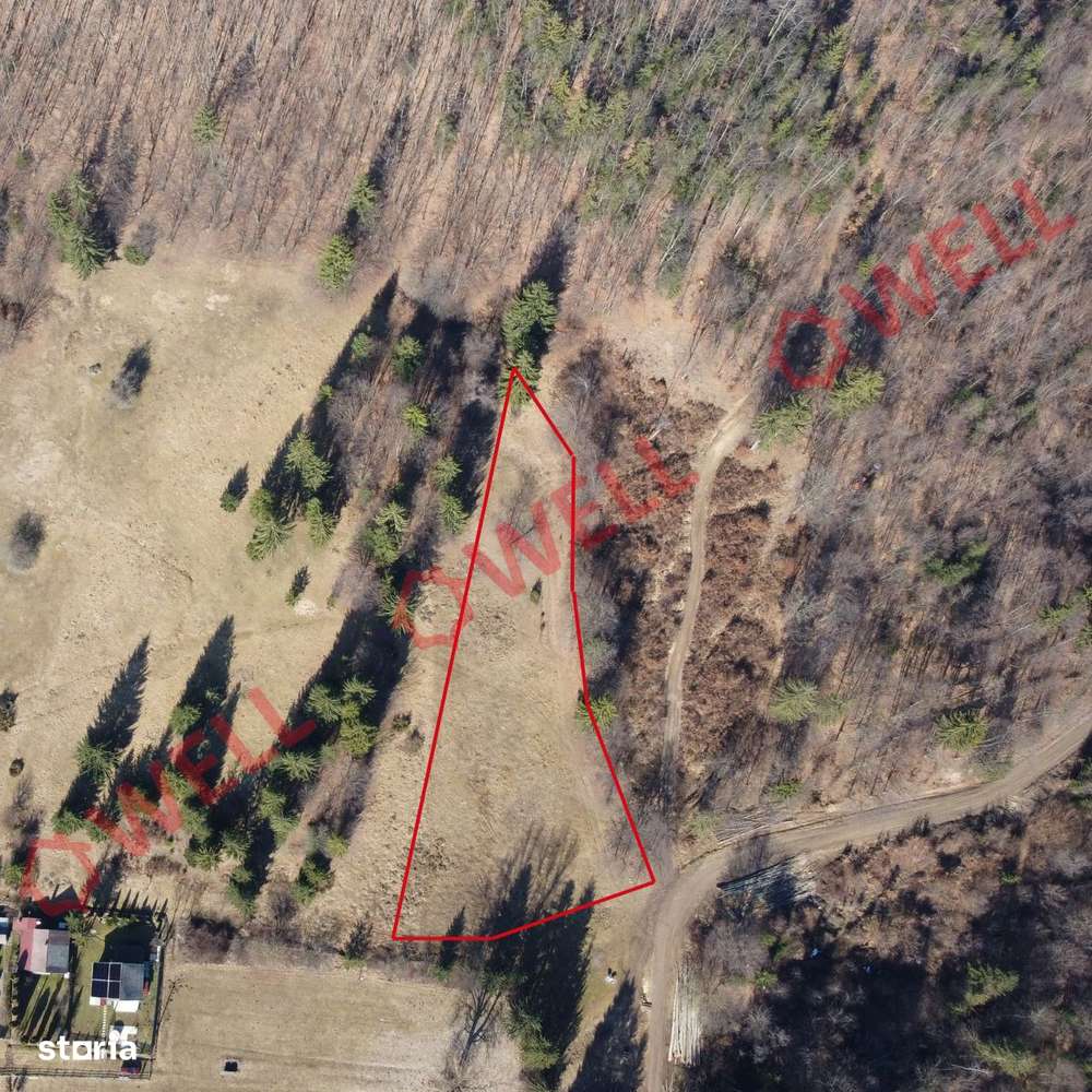 Teren extravilan de vânzare în Covasna! - Imagine principală: 3/6