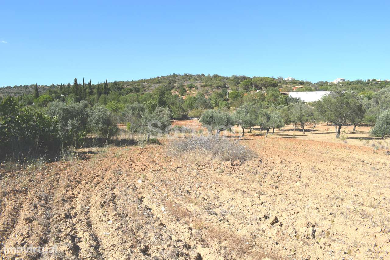 Terreno Rústico  Venda em Boliqueime,Loulé - Grande imagem: 5/6