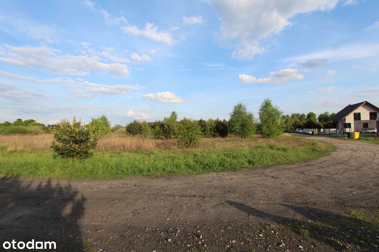 DZIAŁKA 4669 m2 Biała/Trzcianka - Pełny obrazek: 4/6