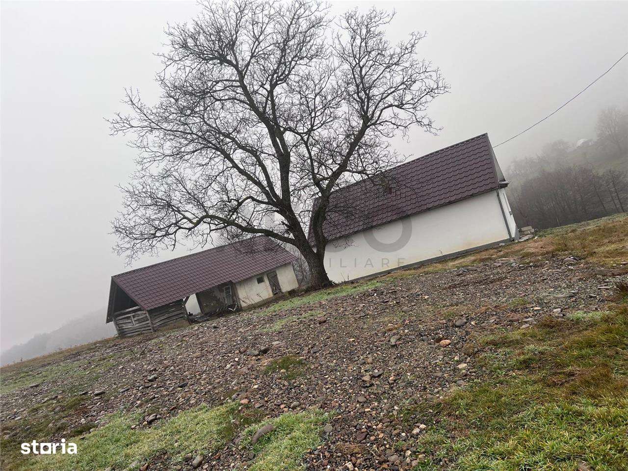 RECO, casa in Sinteu, aproape de Huta Slavia - Imagine principală: 2/20