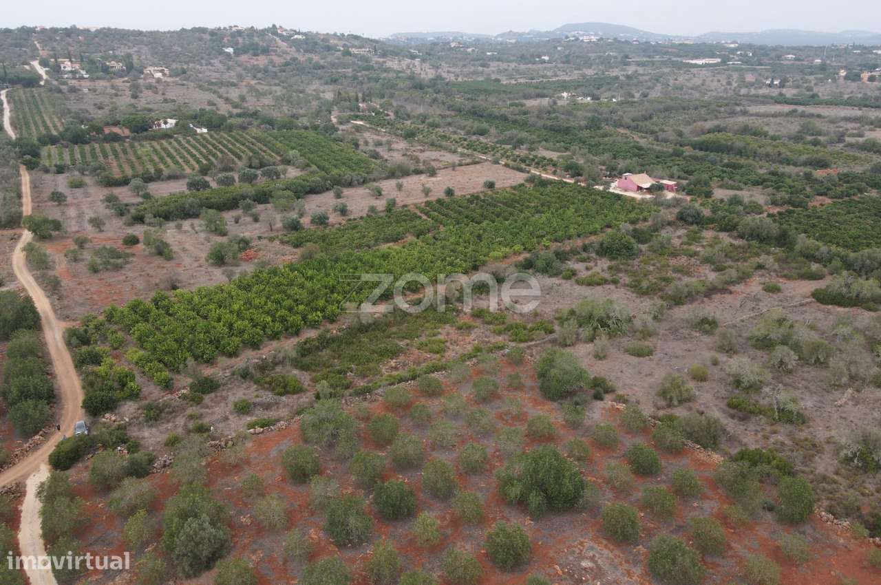 Terreno Rústico em Messines, em Carrascal com 6.080m2 - Grande imagem: 2/15