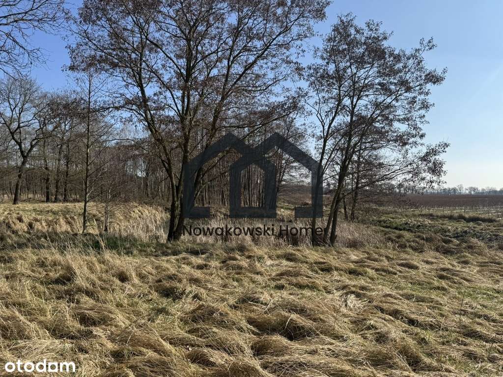 Wyjątkowy dom w środku lasu! - Pełny obrazek: 5/17