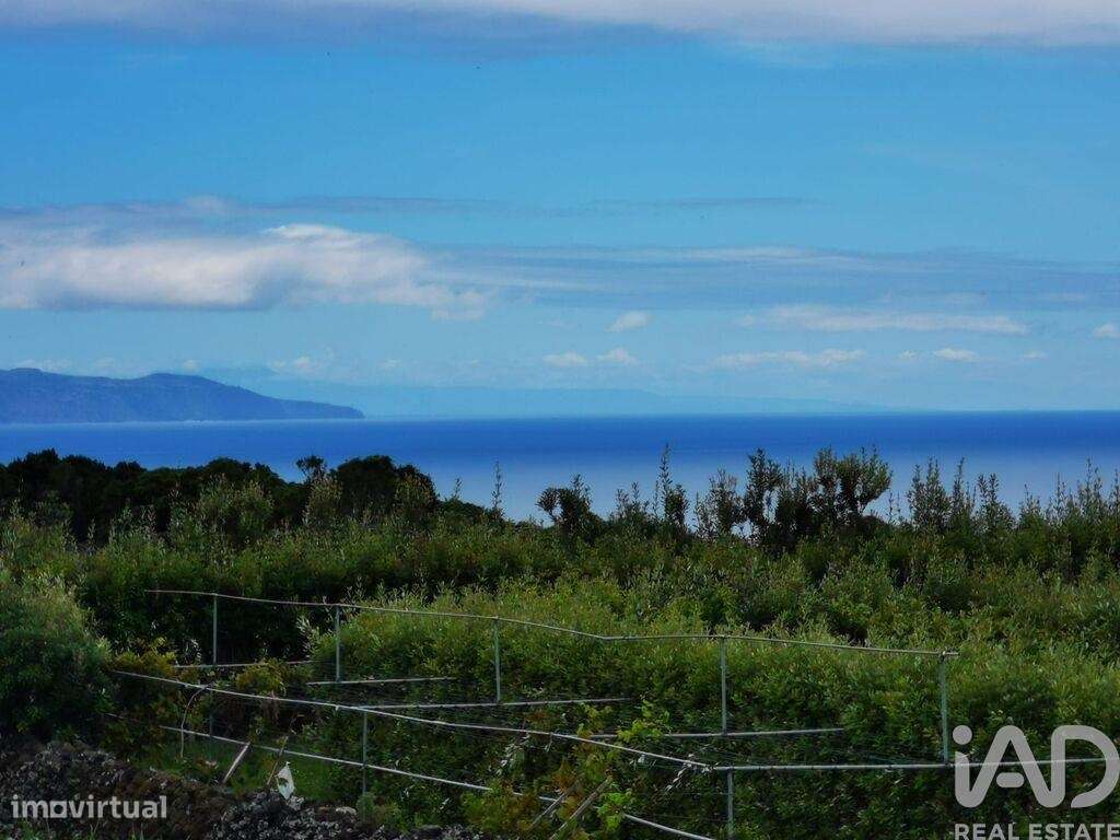 Casa tradicional T2 em Piedade de 136,00 m2 - Grande imagem: 5/23