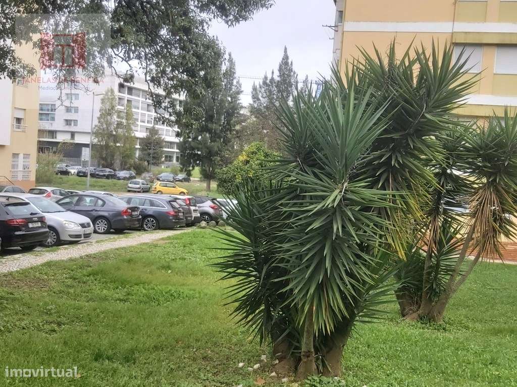 T3 Recuperado - Benfica- Lisboa-6