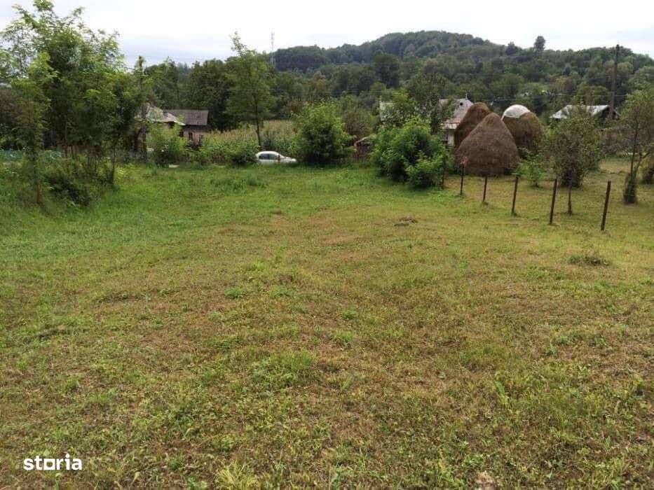 Teren intravilan de vanzare Valea Lunga jud Dambovita-7