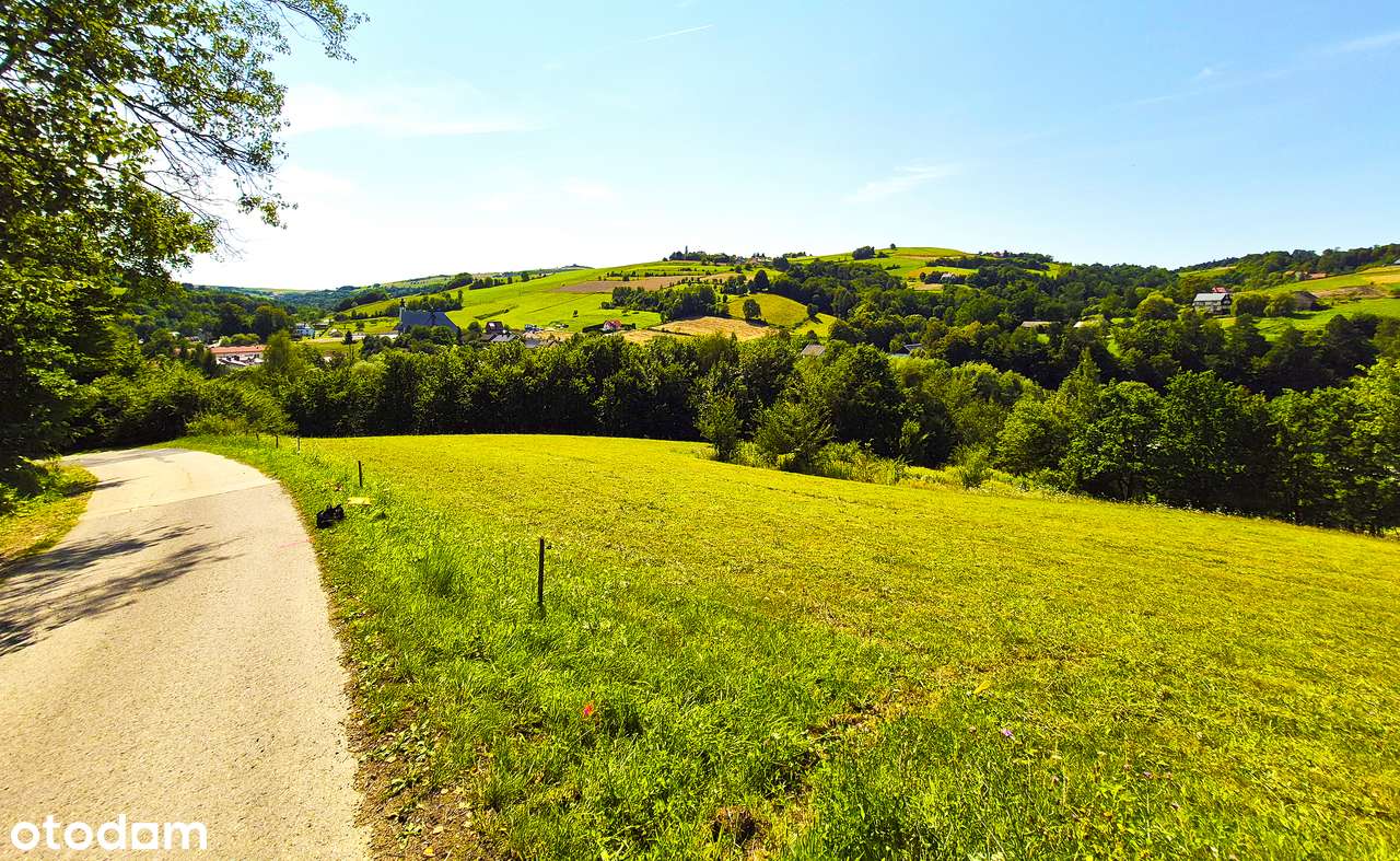 Malowniczo położona działka w Przydonicy w gminie Gródek nad Dunajcem - Pełny obrazek: 5/9