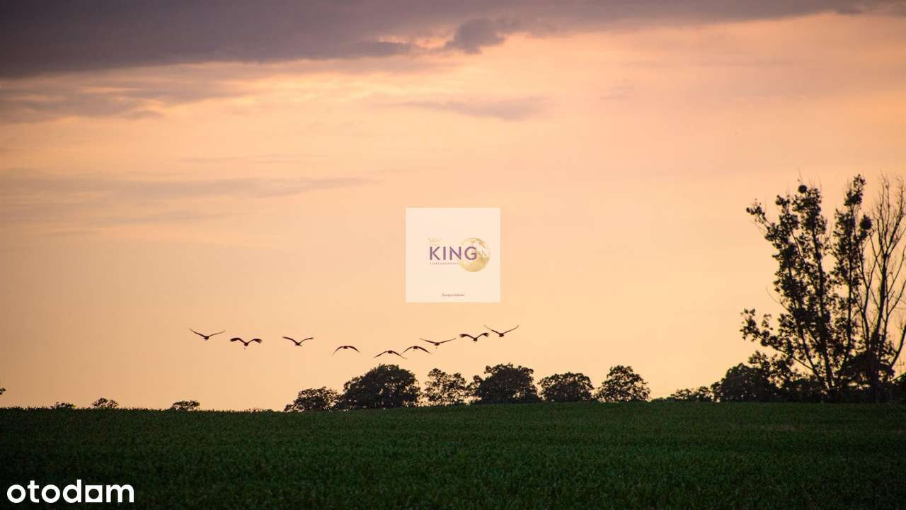 Na sprzedaż działka w Drzeninie - Pełny obrazek: 5/10