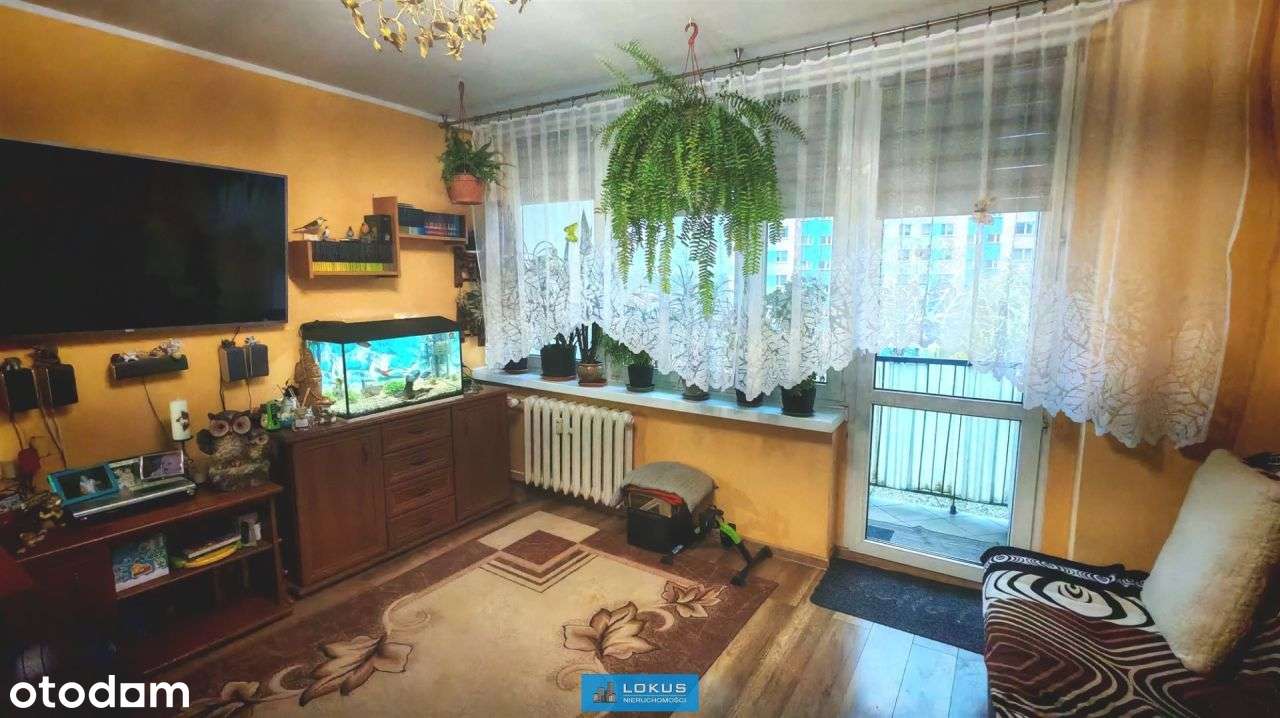 Mieszkanie 2 pokojowe na Widzewie przy parku-0