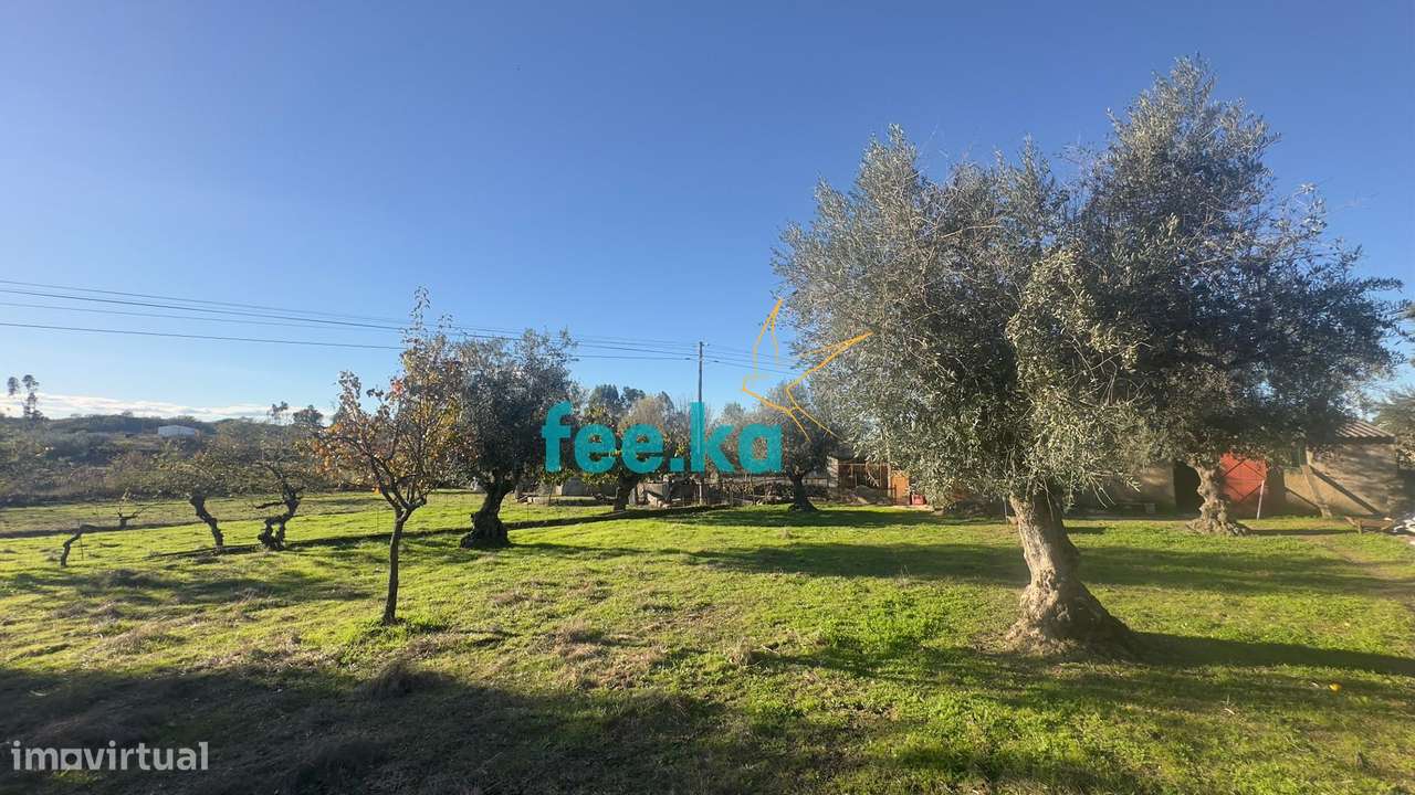 Quinta em Escalos de Baixo-4