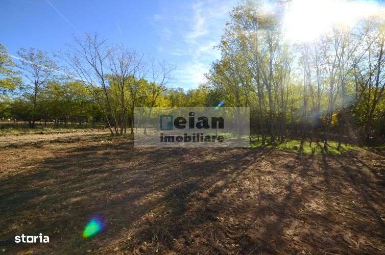 Snagov Ciofliceni Mânastire- Teren 1432 mp, d 60 m, curent gaze asfalt-3