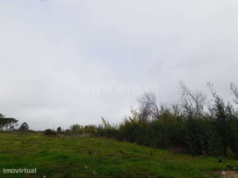 Terreno / Gouveia, Rio Torto - Grande imagem: 4/8