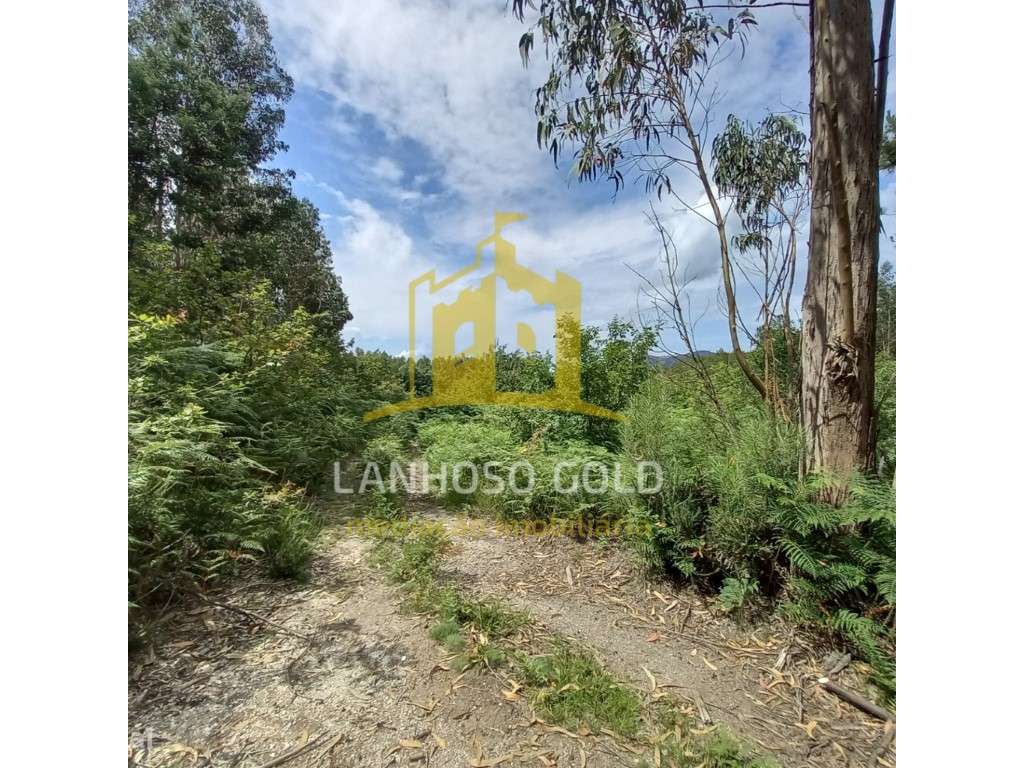 Bouça Mosteiro, Vieira do Minho - Grande imagem: 5/16