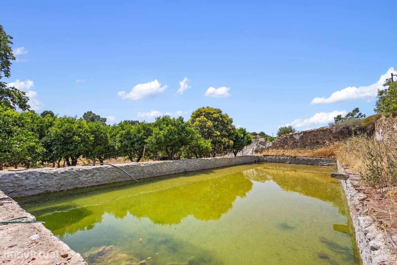 Quinta em Borba: projeto de enoturismo e vinha DOP, Alentejo-9