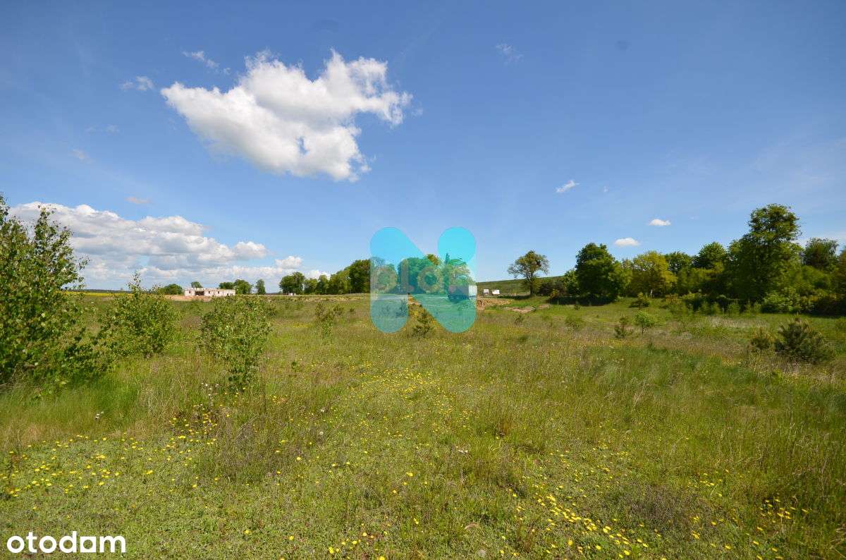 Linowiec, Biznes Park - Pełny obrazek: 4/11