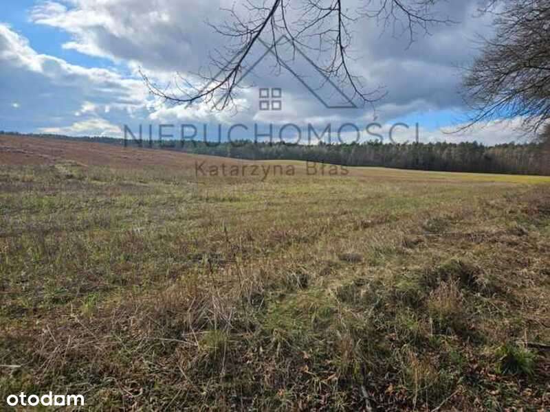 Działka budowlana w Białej-5