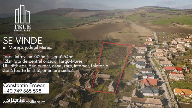 Teren intravilan 7425m² + casa 54m², Morești, Mureș!